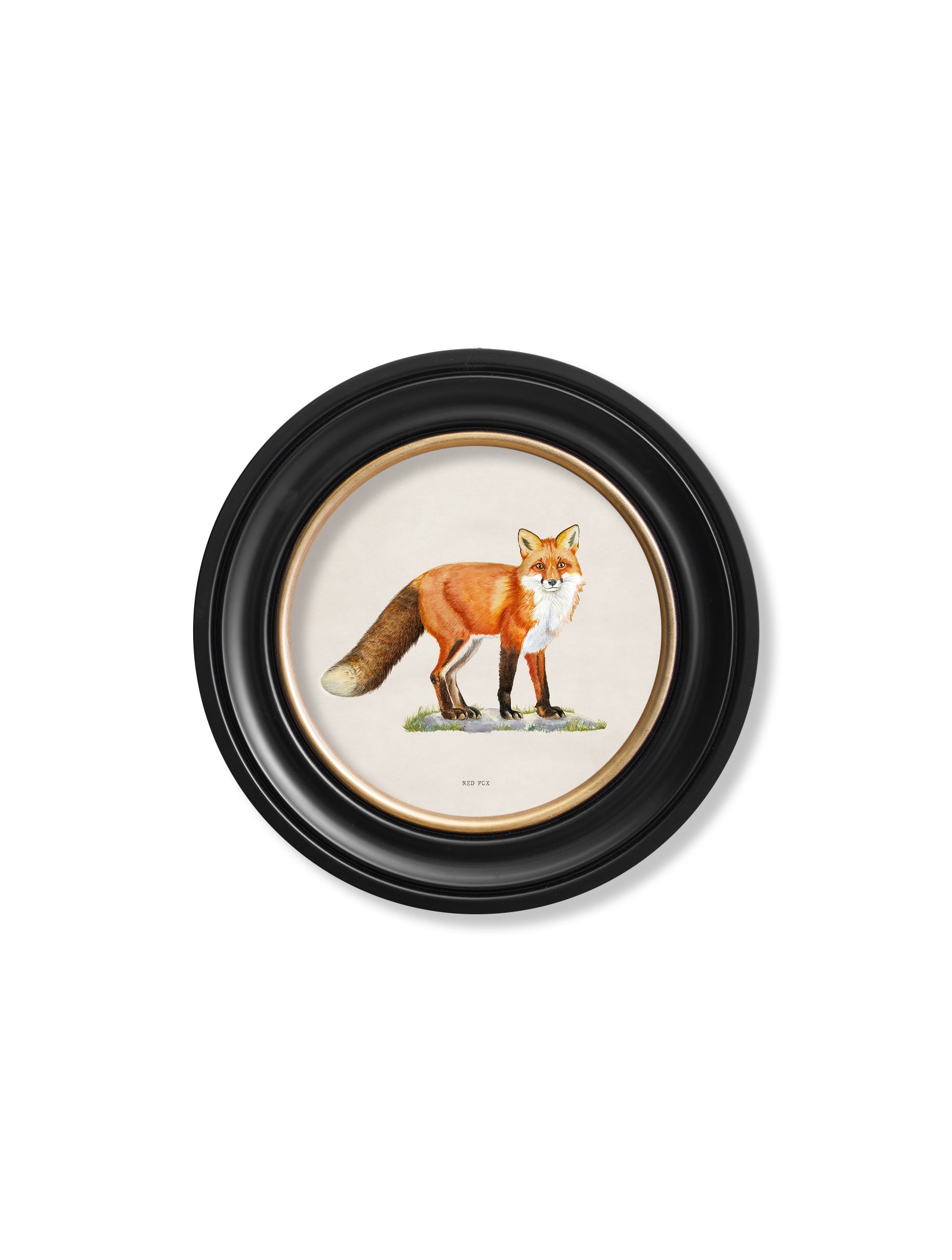 Red Fox – Round Frame styled view – Leya Buster Interiors