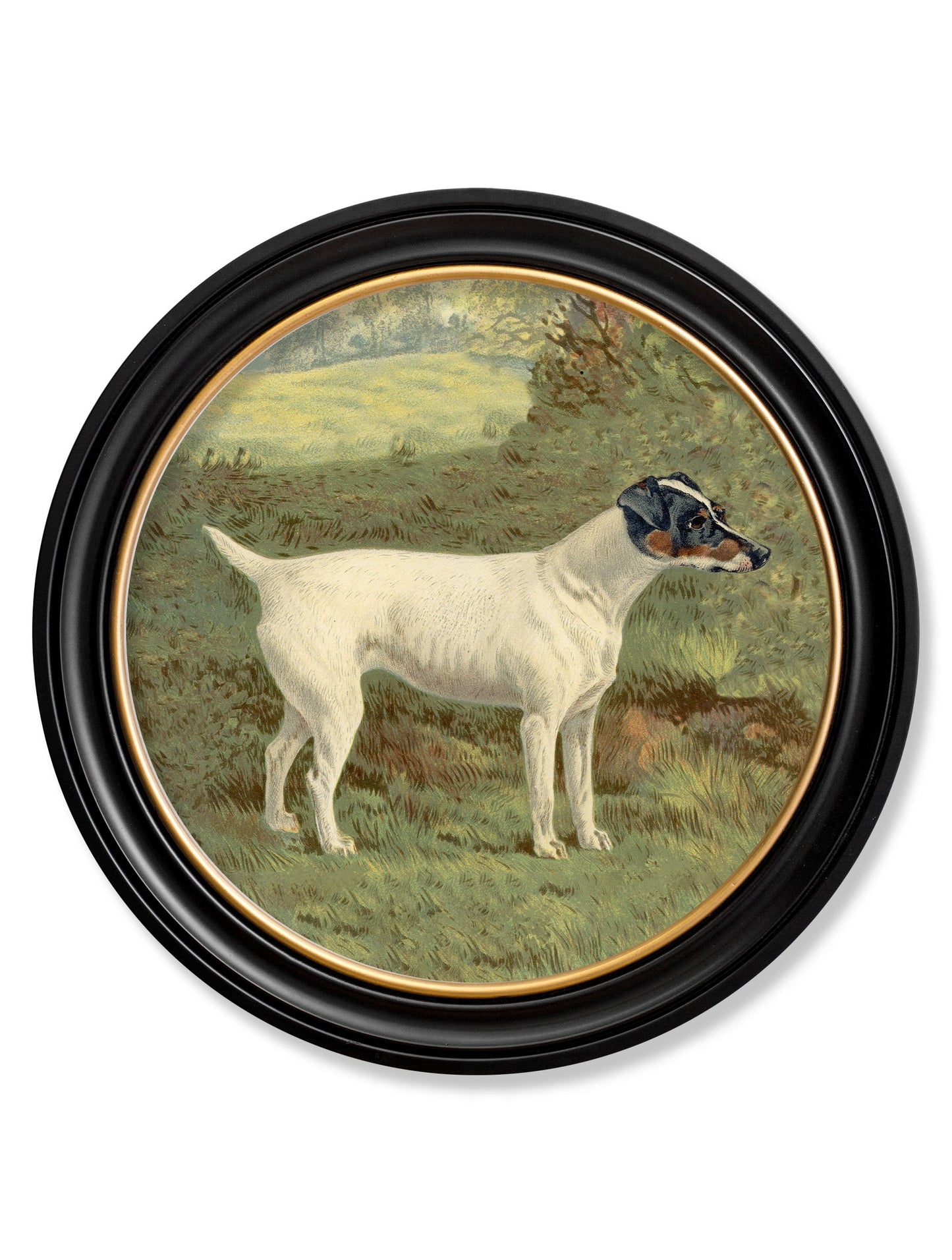 c.1881 Terriers – Round Frame styled view – Leya Buster Interiors