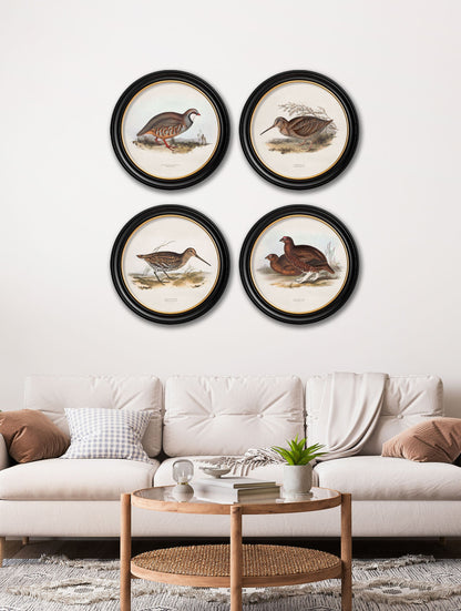c.1837's British Game Birds – Round – framed wall art at Leya Buster Interiors