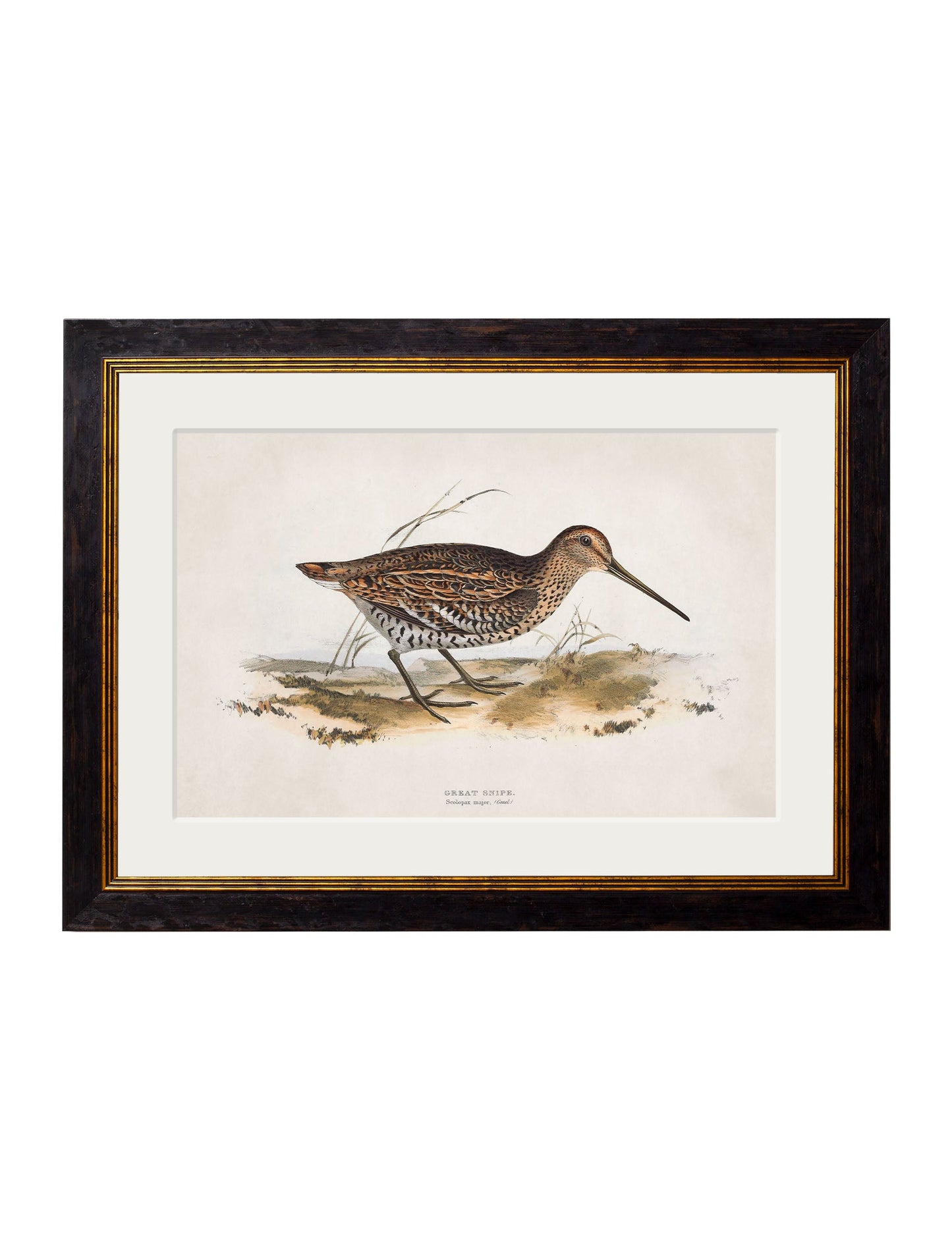 c.1837's British Game Birds styled view – Leya Buster Interiors
