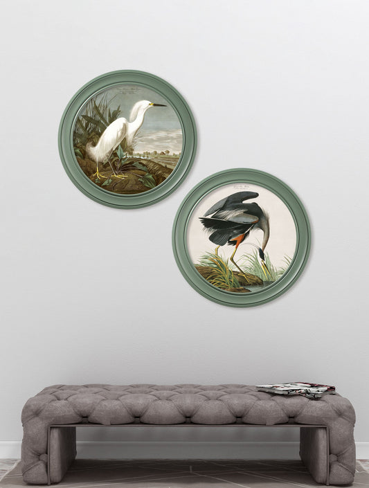 c.1838 Audubon's Great Blue Heron in Green Frame – framed wall art at Leya Buster Interiors