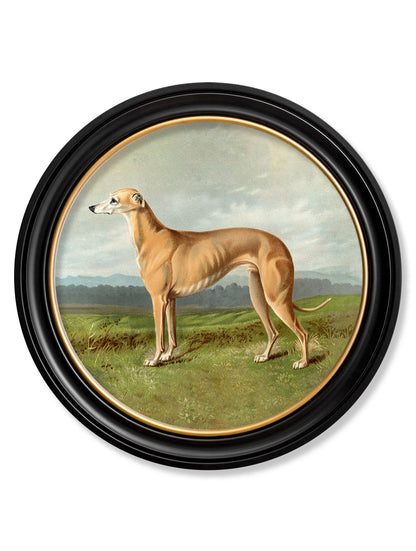 c.1881 Working Dogs – Round Frame styled view – Leya Buster Interiors