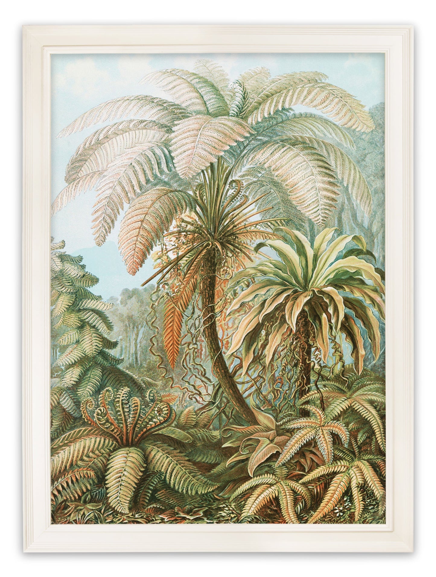 C.1904 Study Of Ferns Print styled view – Leya Buster Interiors