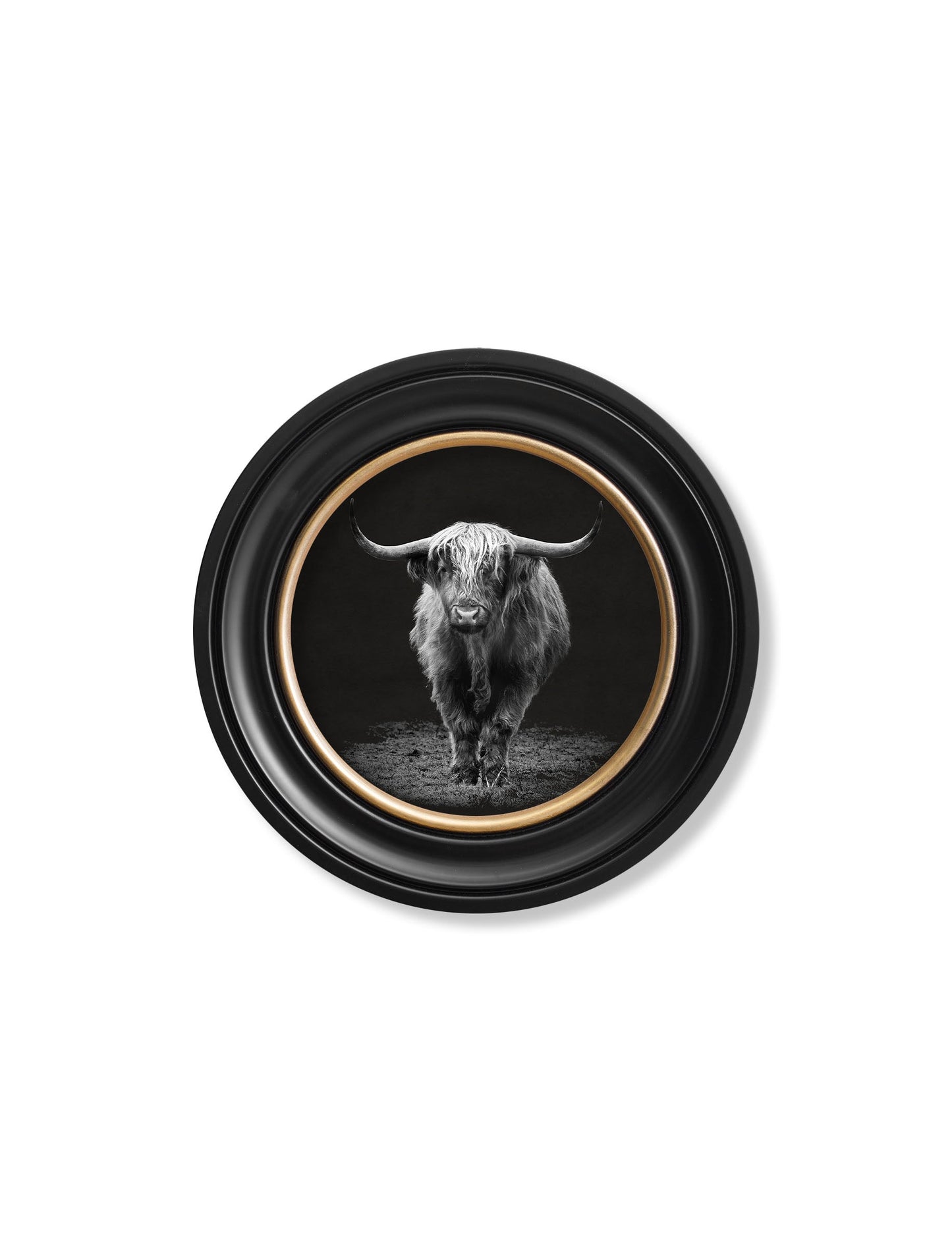Wildlife Photography – Highland Cow – Round Frame styled view – Leya Buster Interiors