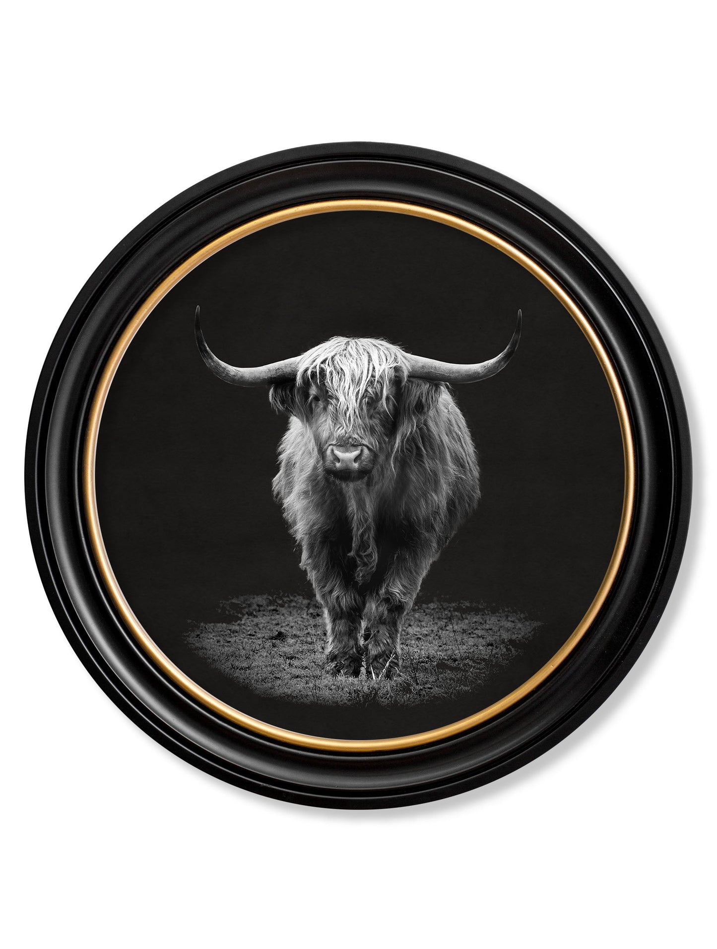 Wildlife Photography – Highland Cow – Round Frame detail – Leya Buster Interiors