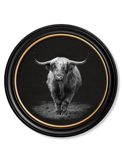 Wildlife Photography – Highland Cow – Round Frame detail – Leya Buster Interiors