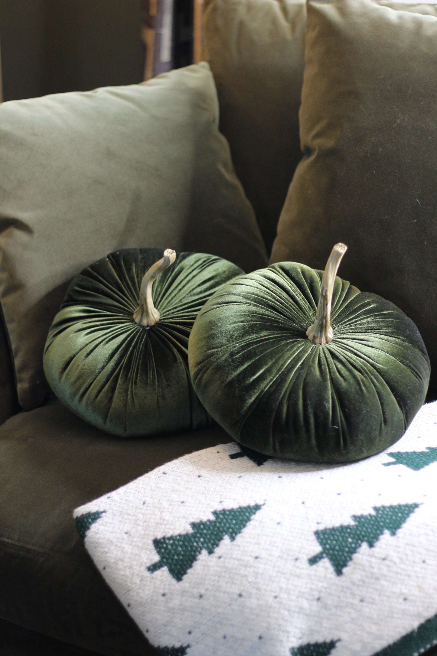 Green Velvet Pumpkin detail – Leya Buster Interiors