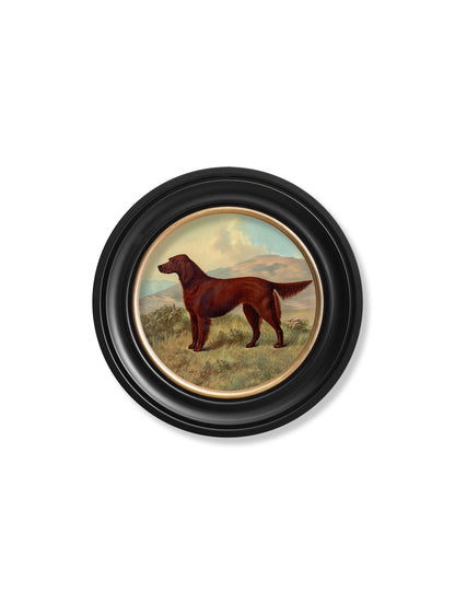 c.1881 Working Dogs – Round Frame styled view – Leya Buster Interiors