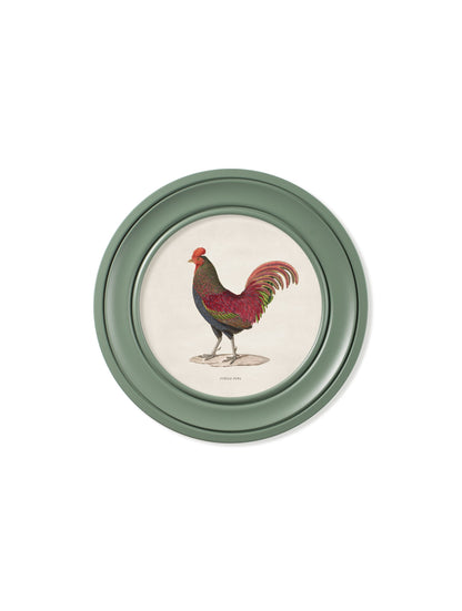 c.1838 Junglefowl in Round Frames Green styled view – Leya Buster Interiors