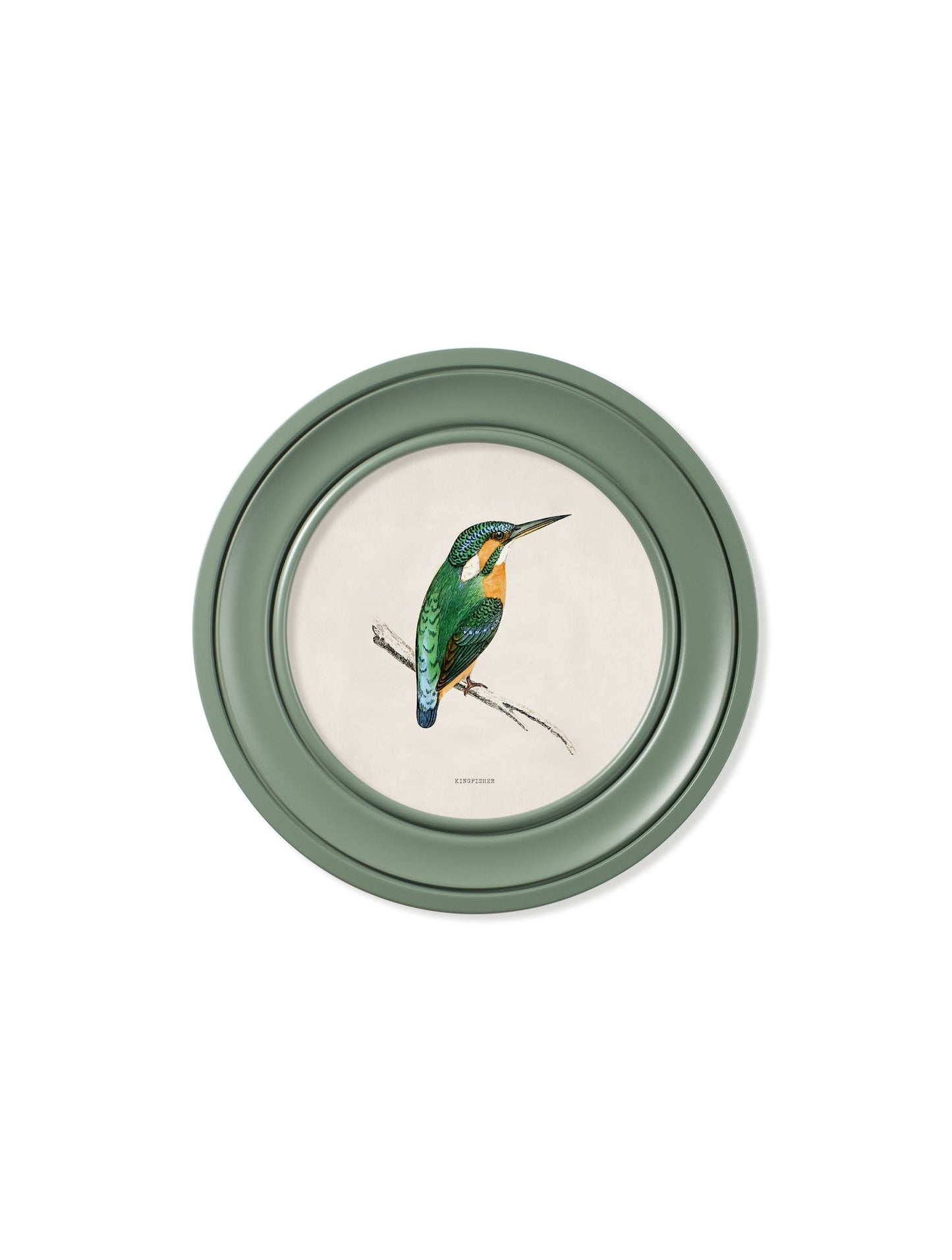 c.1870 Kingfisher and Bee Eater – Round Frame Green styled view – Leya Buster Interiors