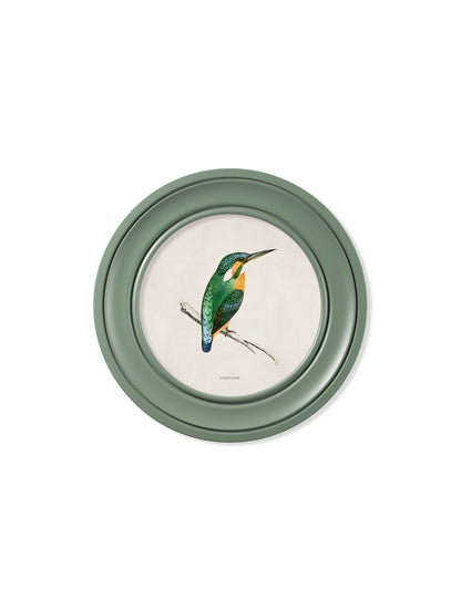 c.1870 Kingfisher and Bee Eater – Round Frame Green styled view – Leya Buster Interiors