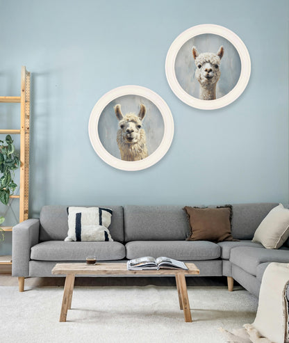 The Goofy Alpaca – Oxford Strong White Round Frame styled view – Leya Buster Interiors