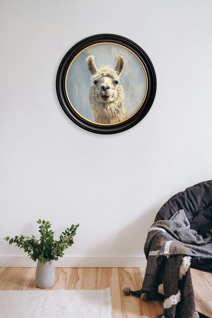 The Goofy Llama – Oxford Round Frame – framed wall art at Leya Buster Interiors