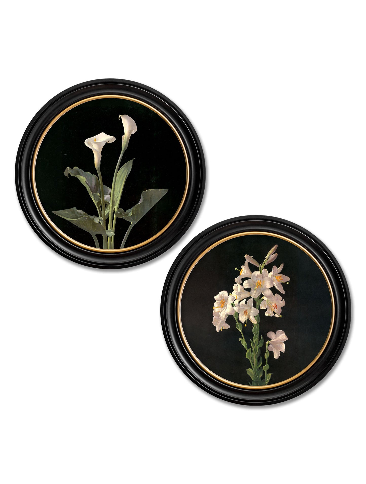 c.1874 George Cochran Lambdin Lillys – Round Frame detail – Leya Buster Interiors