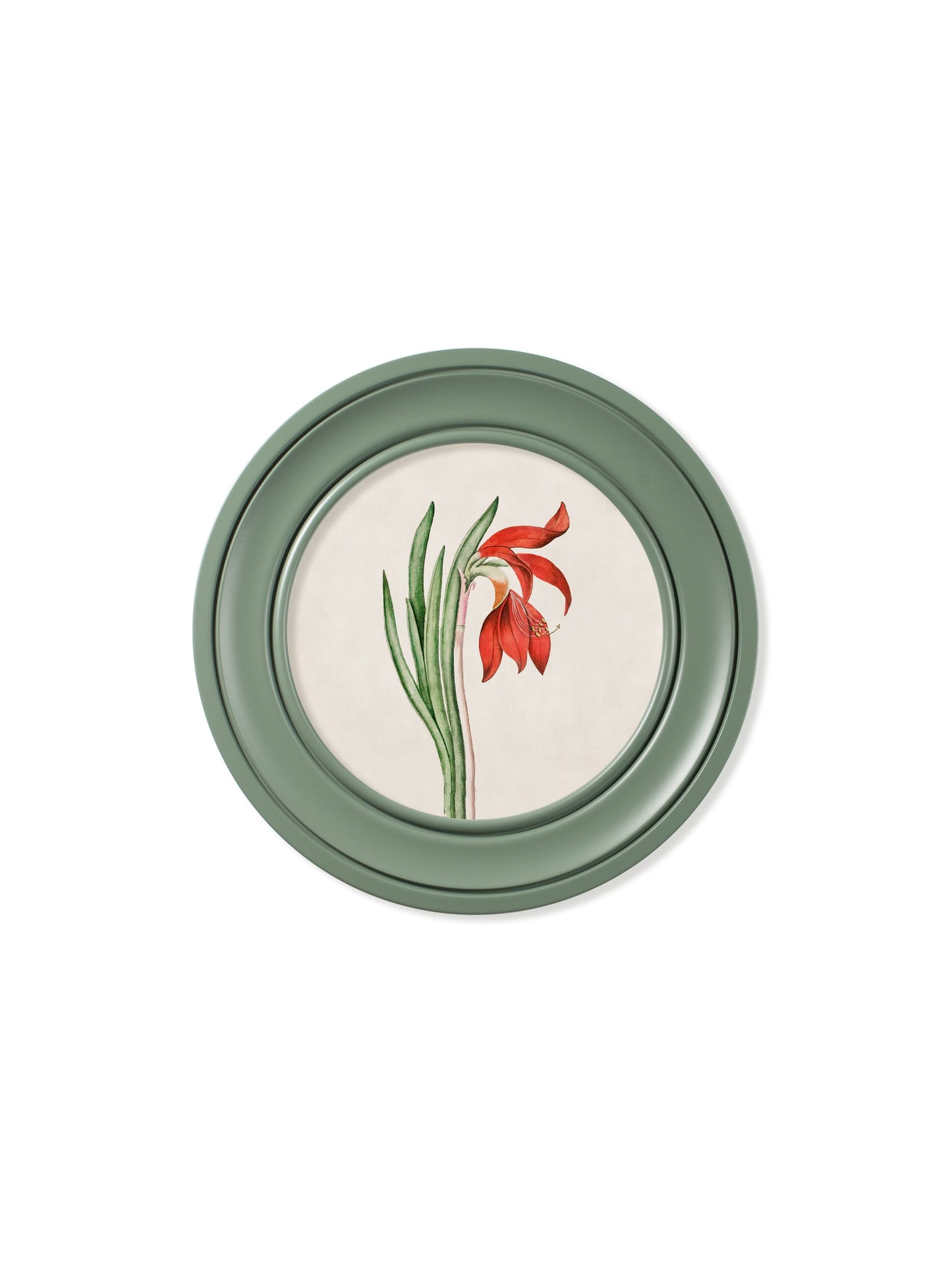 c.1780 Flowering Plants Round Frame Green styled view – Leya Buster Interiors