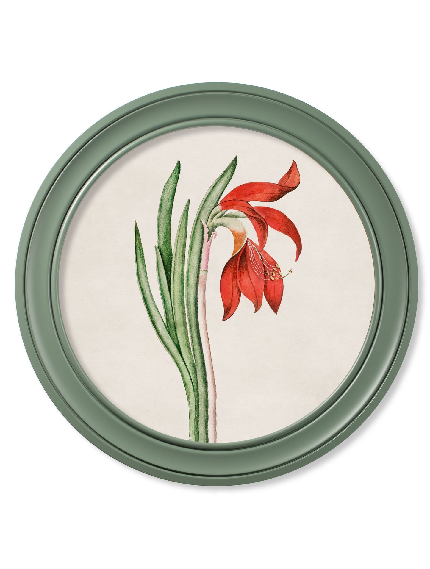 c.1780 Flowering Plants Round Frame Green styled view – Leya Buster Interiors
