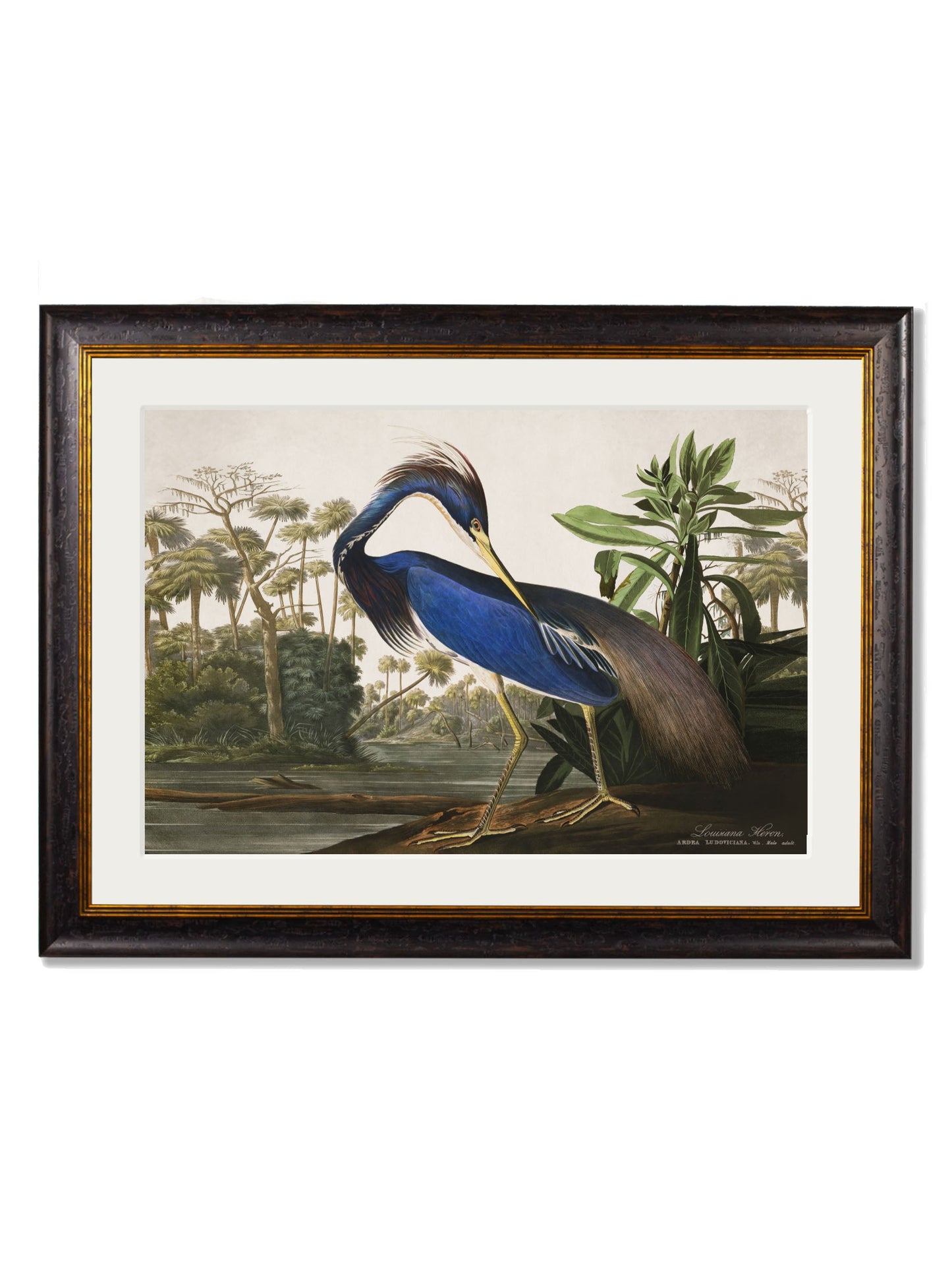 c.1838 Audubon's Herons styled view – Leya Buster Interiors