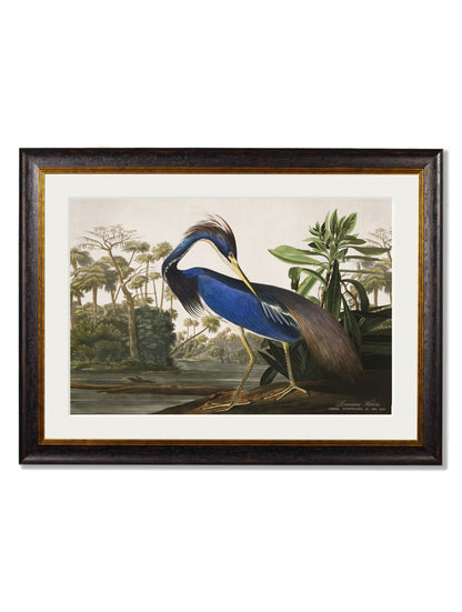 c.1838 Audubon's Herons styled view – Leya Buster Interiors