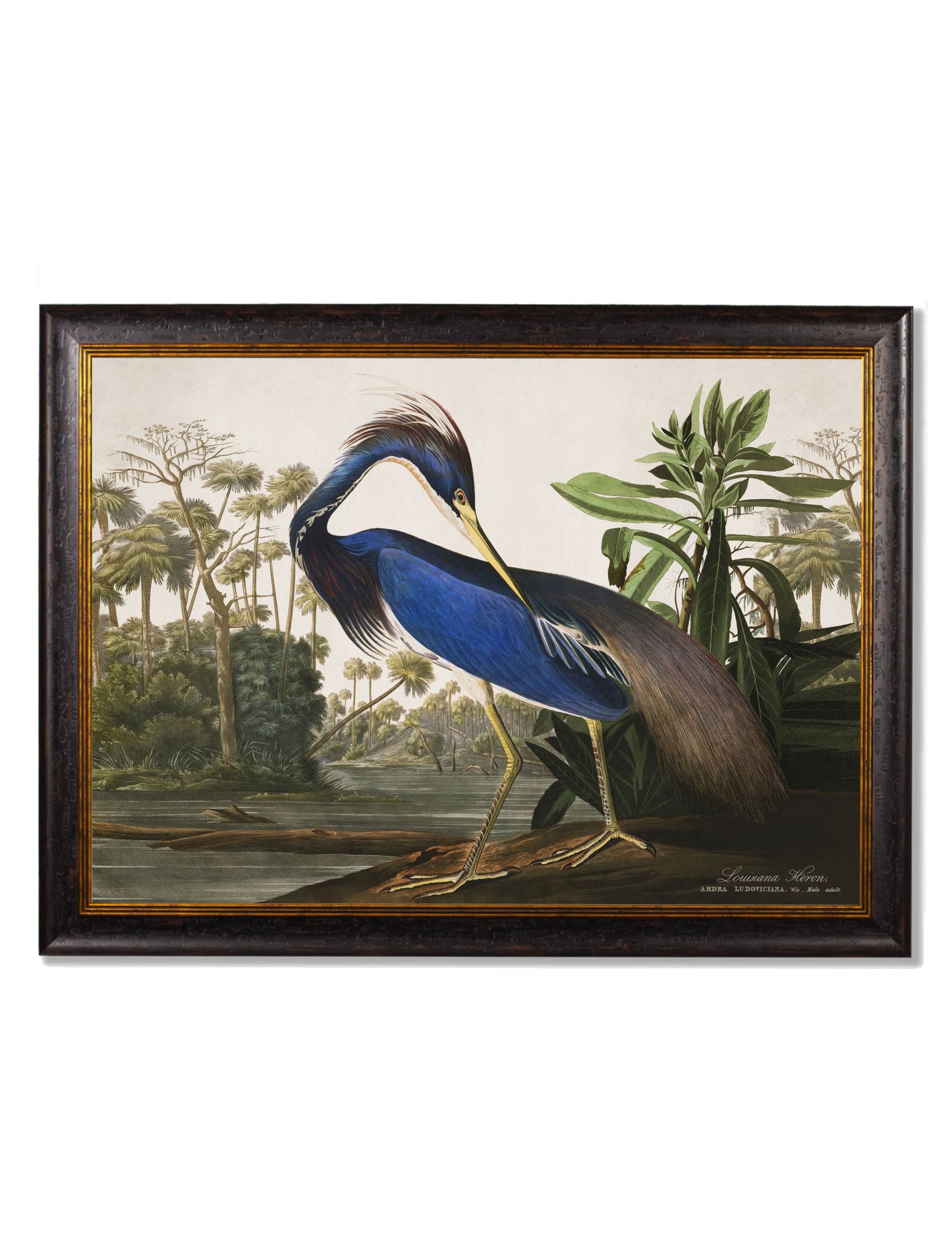 c.1838 Audubon's Herons styled view – Leya Buster Interiors