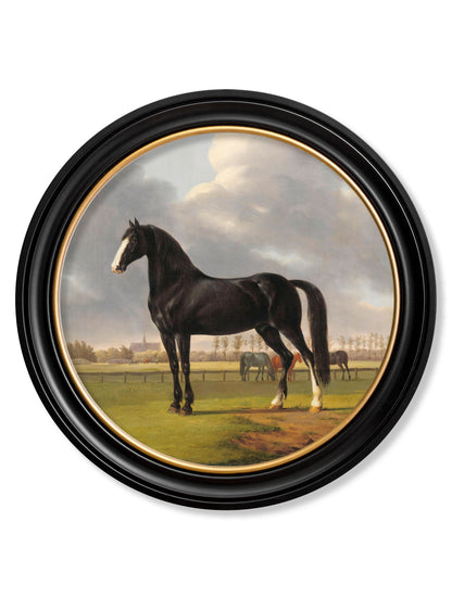 c.1840 Horses – Round Frame styled view – Leya Buster Interiors