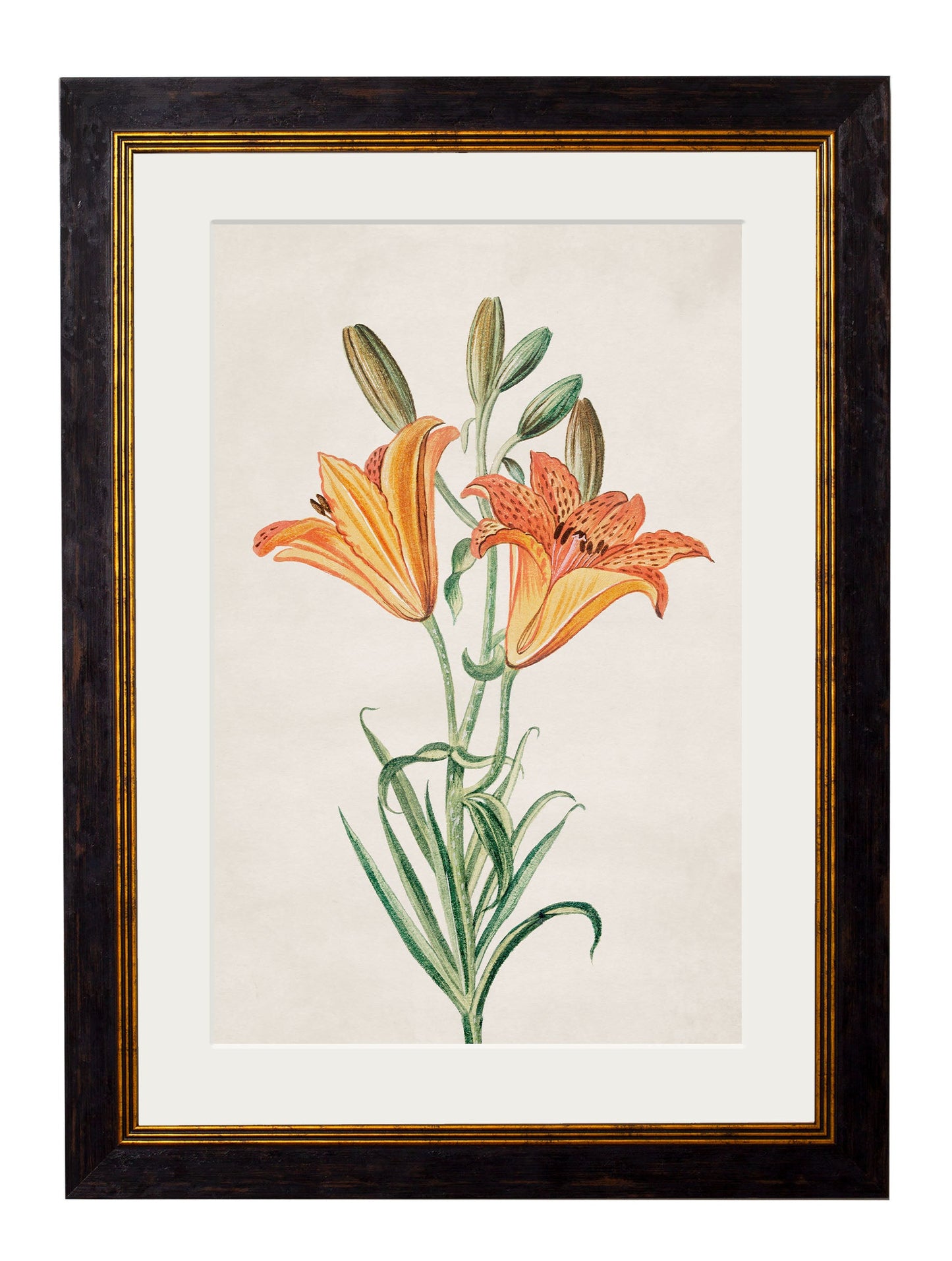 c.1780 Flowering Plants styled view – Leya Buster Interiors