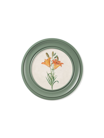 c.1780 Flowering Plants Round Frame Green styled view – Leya Buster Interiors