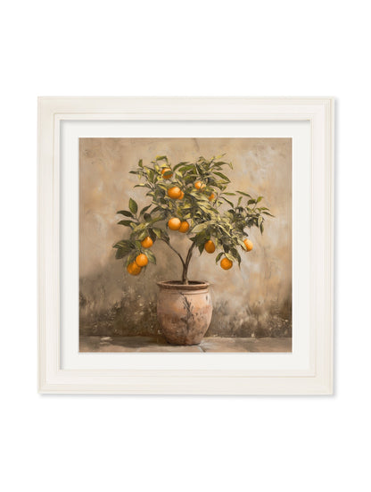 Mediterranean Orange Tree – Cream Hurstwood Square Frame detail – Leya Buster Interiors