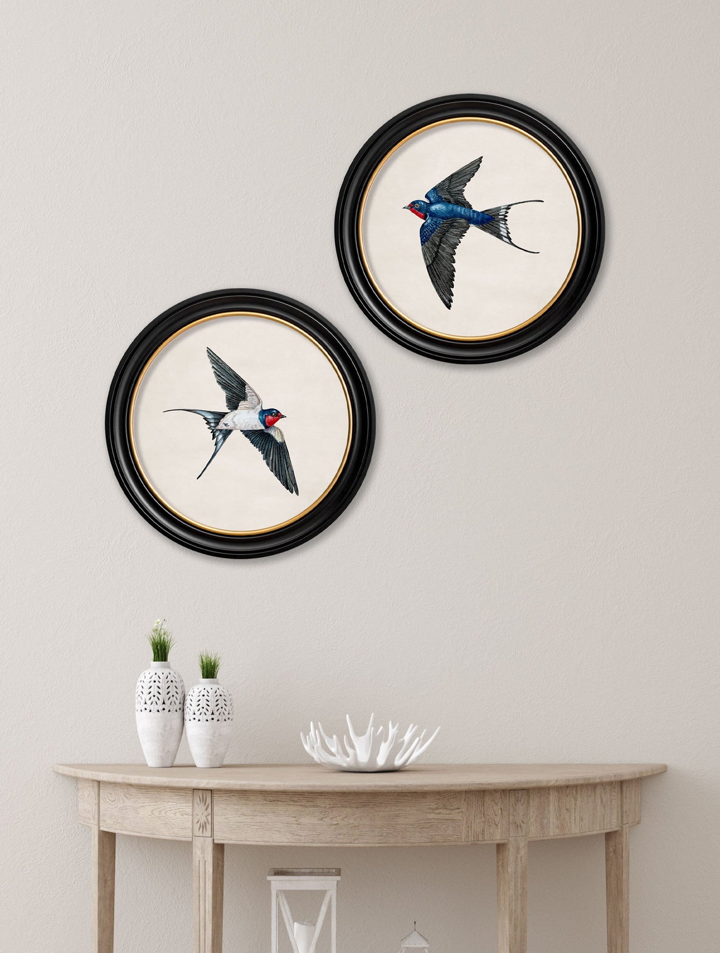 c.1875 Swallows in Round Frames – framed wall art at Leya Buster Interiors