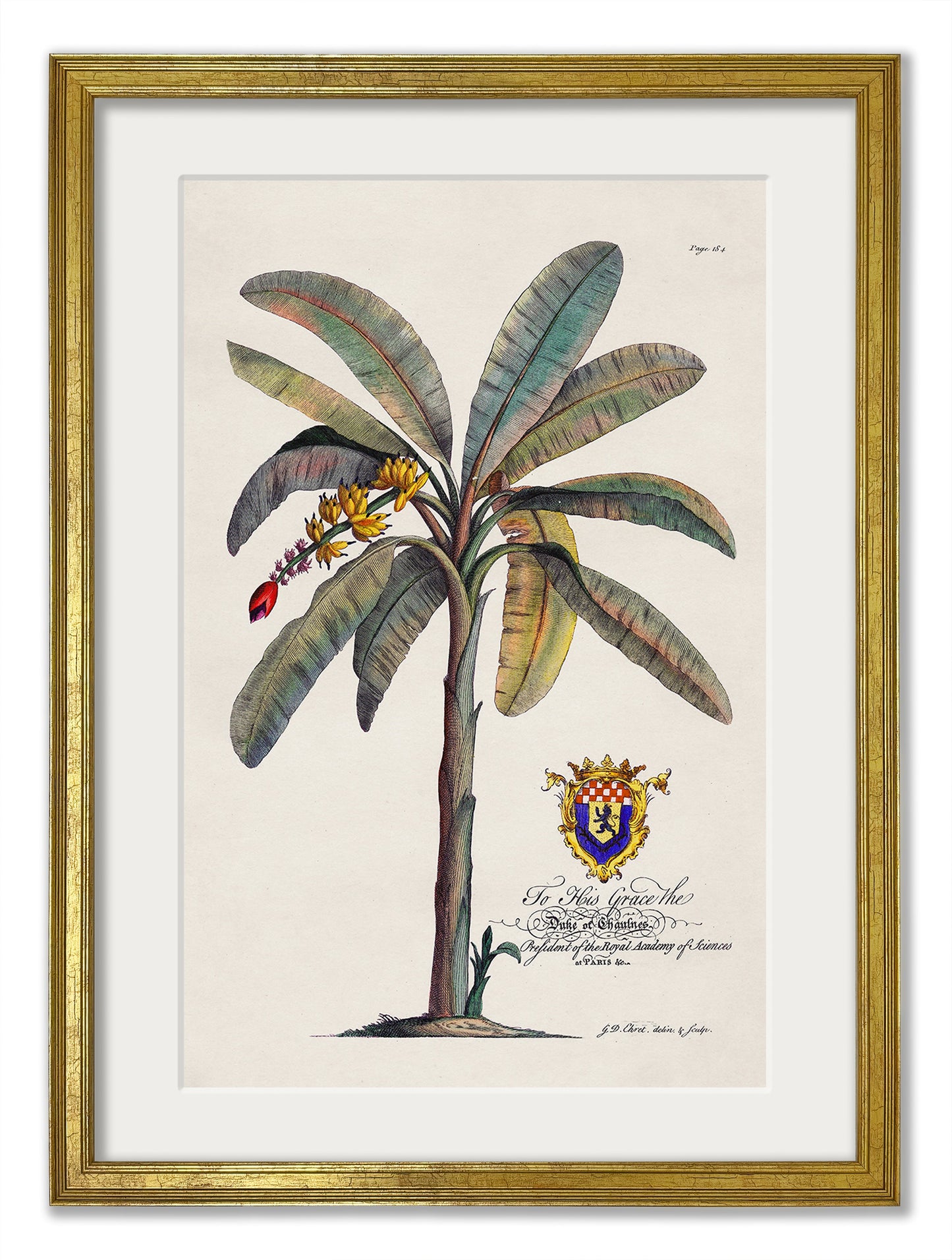 Studies of Palms styled view – Leya Buster Interiors