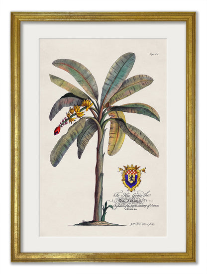 Studies of Palms styled view – Leya Buster Interiors