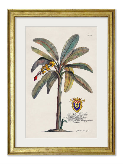 Studies of Palms styled view – Leya Buster Interiors