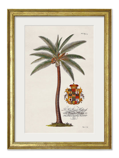 Studies of Palms styled view – Leya Buster Interiors