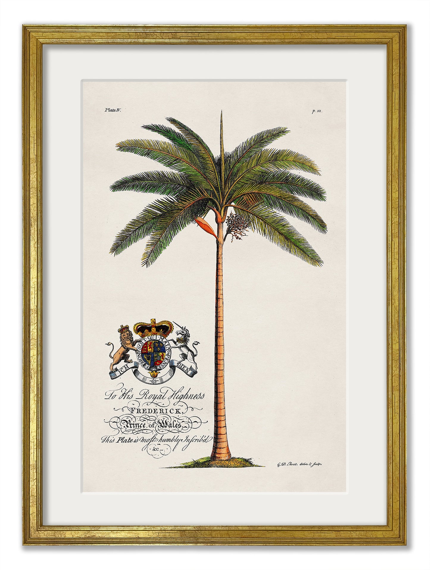 Studies of Palms styled view – Leya Buster Interiors