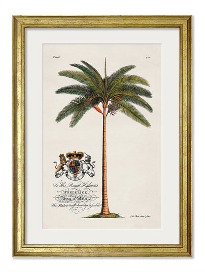 Studies of Palms styled view – Leya Buster Interiors