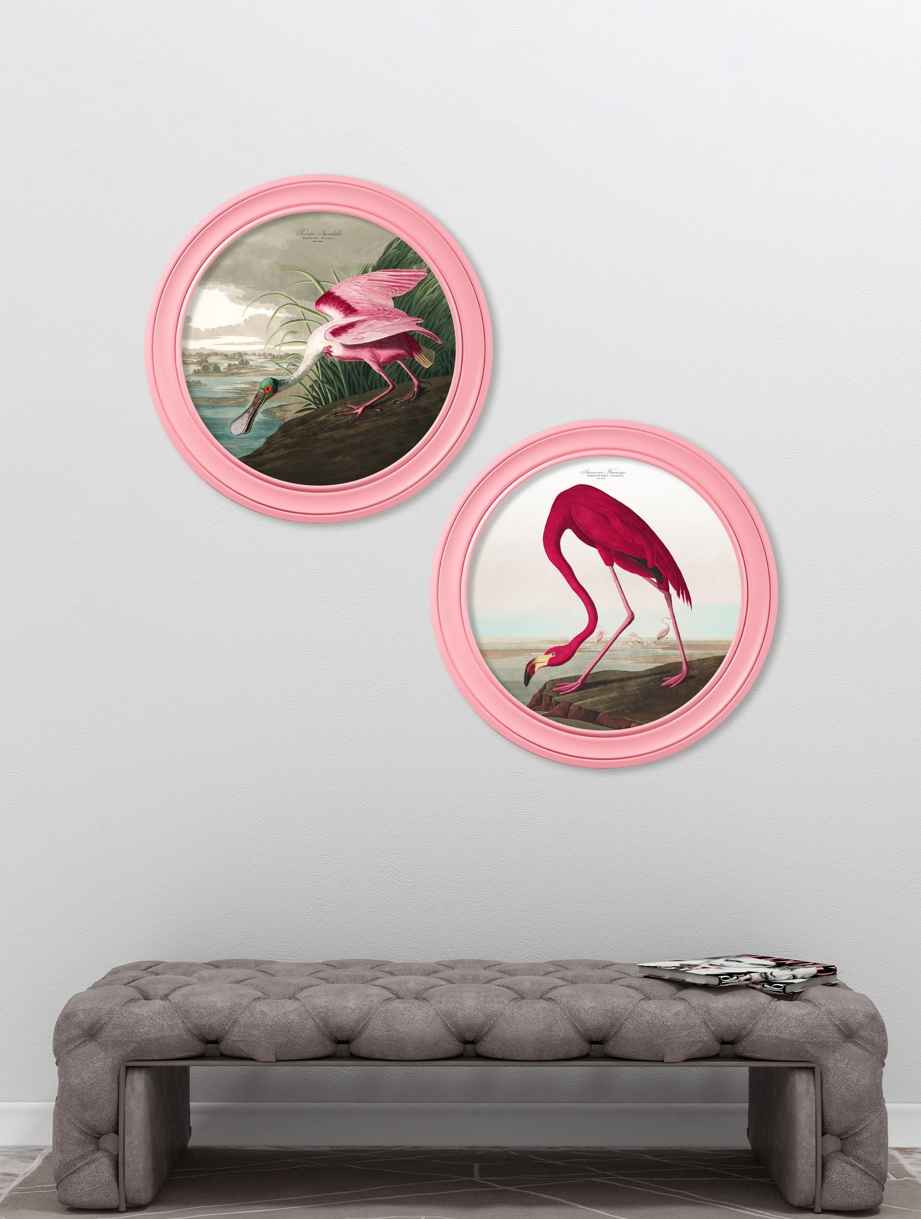 c.1838 Audubon's Spoonbill in Pink Frame – framed wall art at Leya Buster Interiors