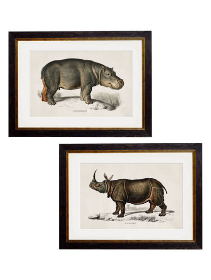 c.1846 Rhino & Hippo detail – Leya Buster Interiors