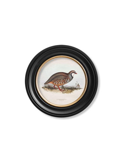 c.1837's British Game Birds – Round styled view – Leya Buster Interiors