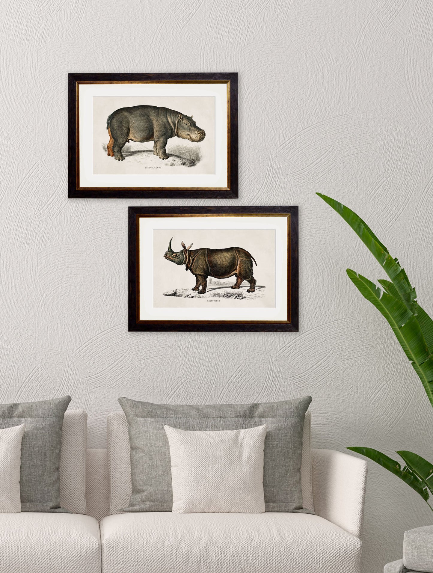 c.1846 Rhino & Hippo – framed wall art at Leya Buster Interiors