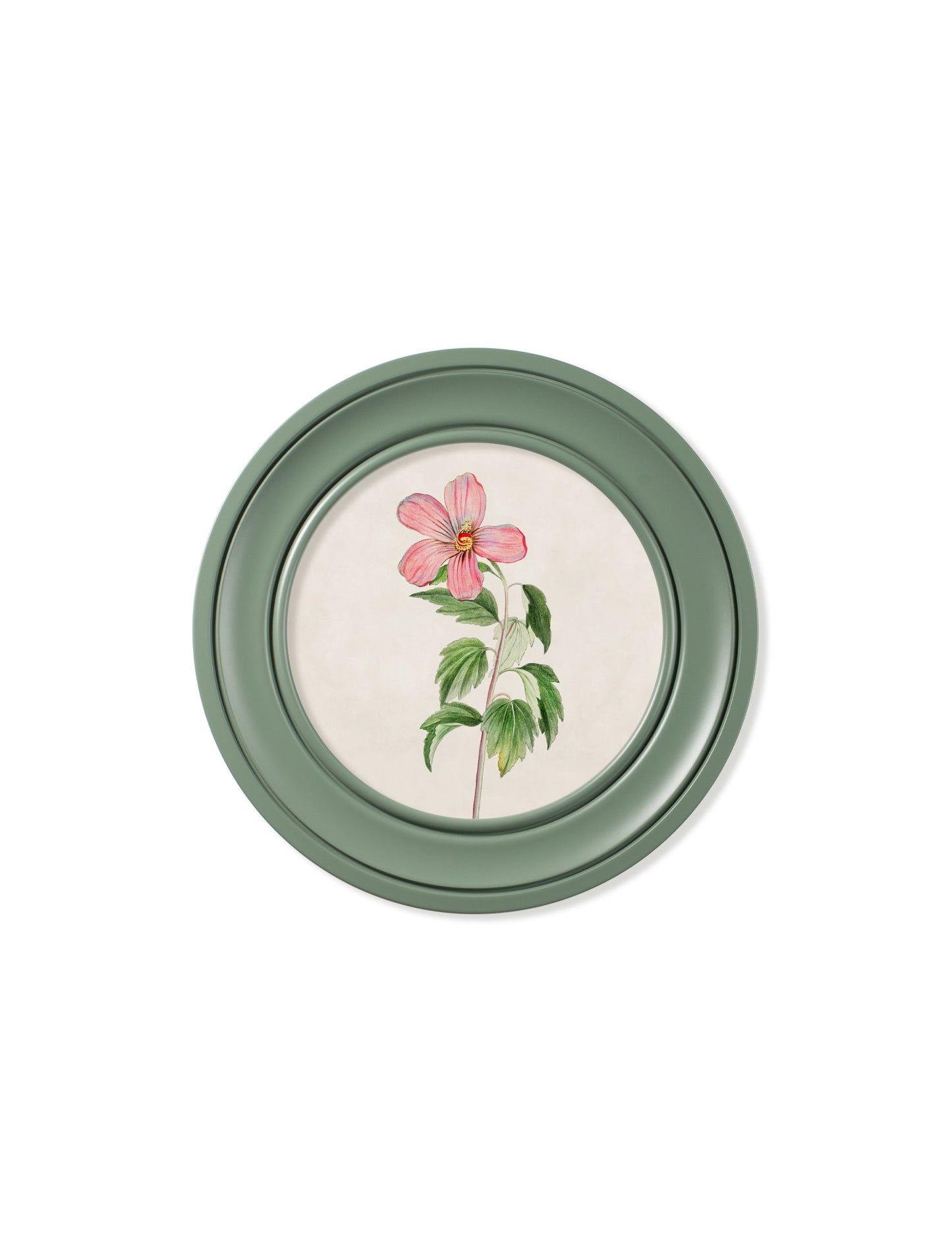 c.1780 Flowering Plants Round Frame Green styled view – Leya Buster Interiors