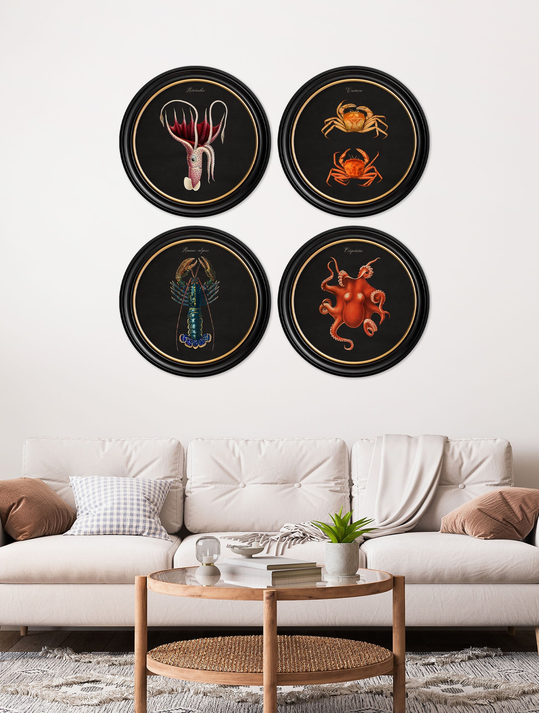 C.1876 Marine Animals in Round Frames – Black – framed wall art at Leya Buster Interiors