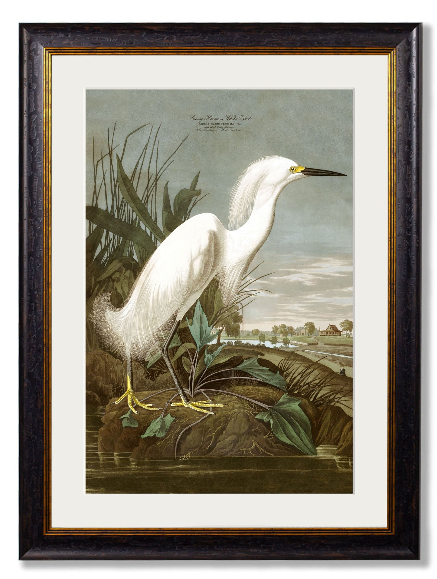 c.1838 Audubon's Herons styled view – Leya Buster Interiors