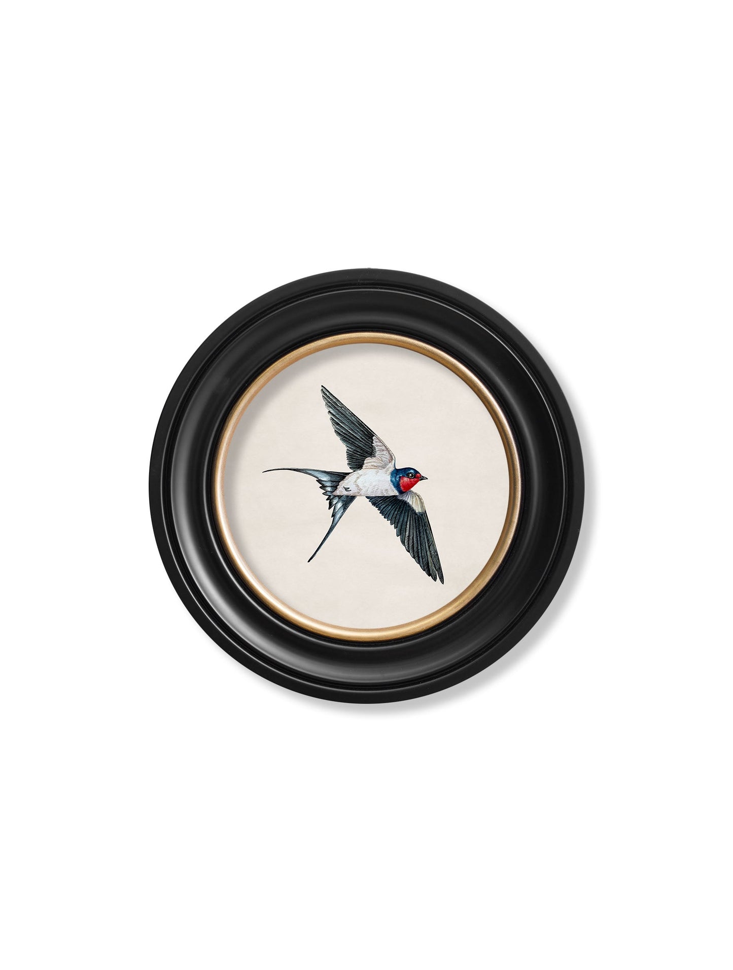 c.1875 Swallows in Round Frames styled view – Leya Buster Interiors