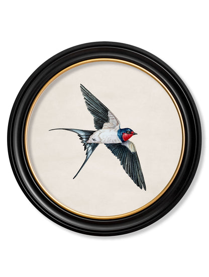 c.1875 Swallows in Round Frames styled view – Leya Buster Interiors