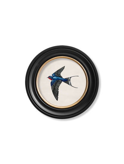 c.1875 Swallows in Round Frames styled view – Leya Buster Interiors