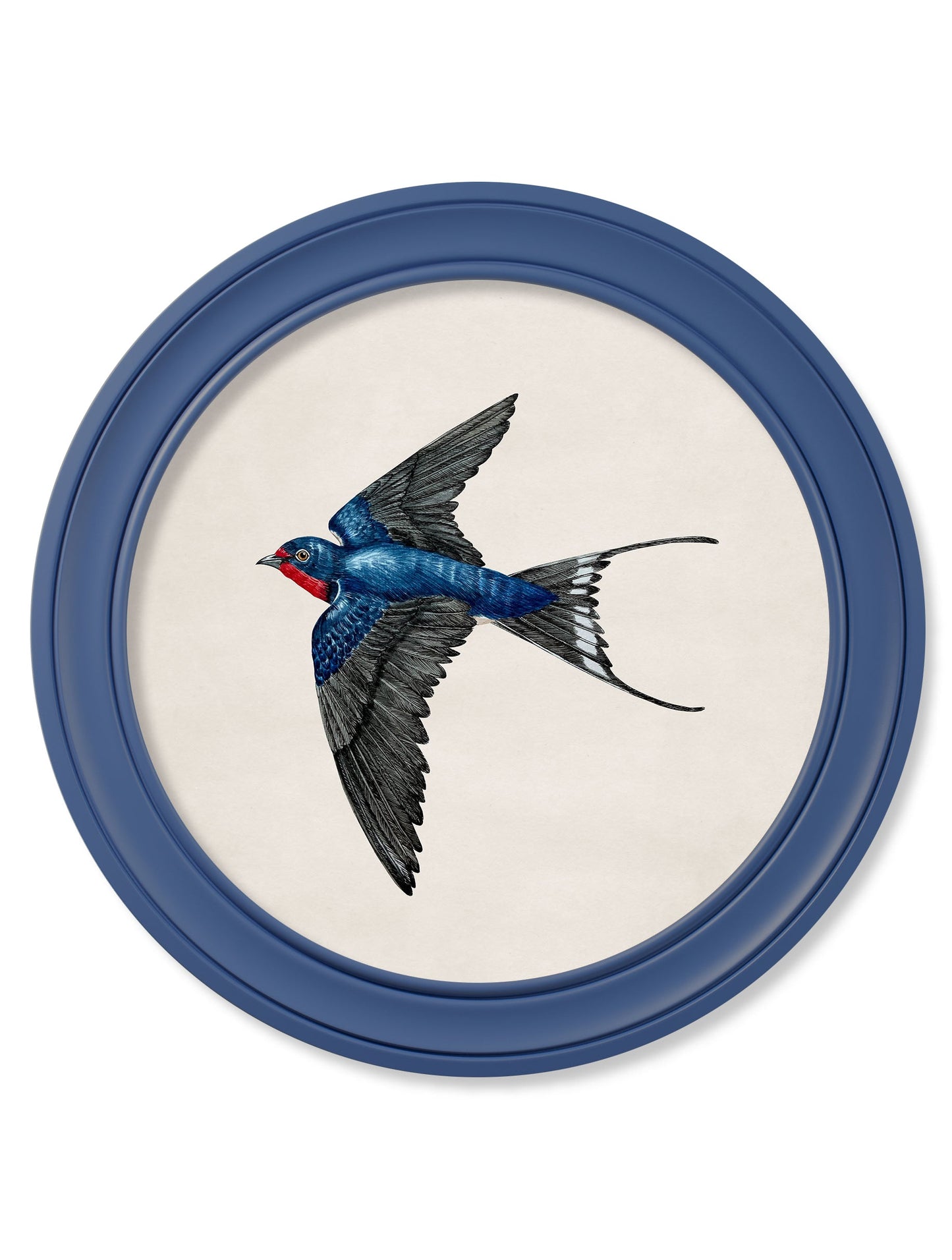 c.1875 Swallows in Round Frames Blue styled view – Leya Buster Interiors