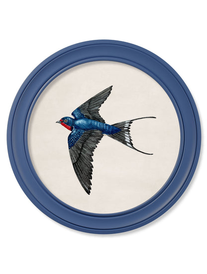 c.1875 Swallows in Round Frames Blue styled view – Leya Buster Interiors