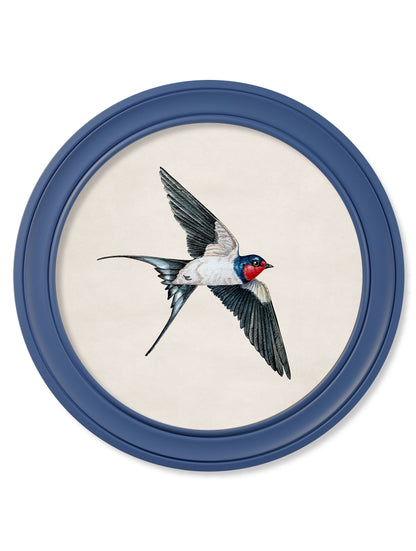 c.1875 Swallows in Round Frames Blue styled view – Leya Buster Interiors