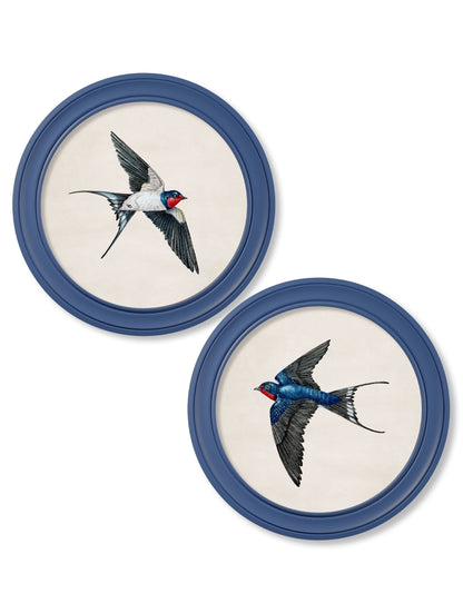 c.1875 Swallows in Round Frames Blue detail – Leya Buster Interiors