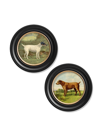 c.1881 Terriers – Round Frame styled view – Leya Buster Interiors