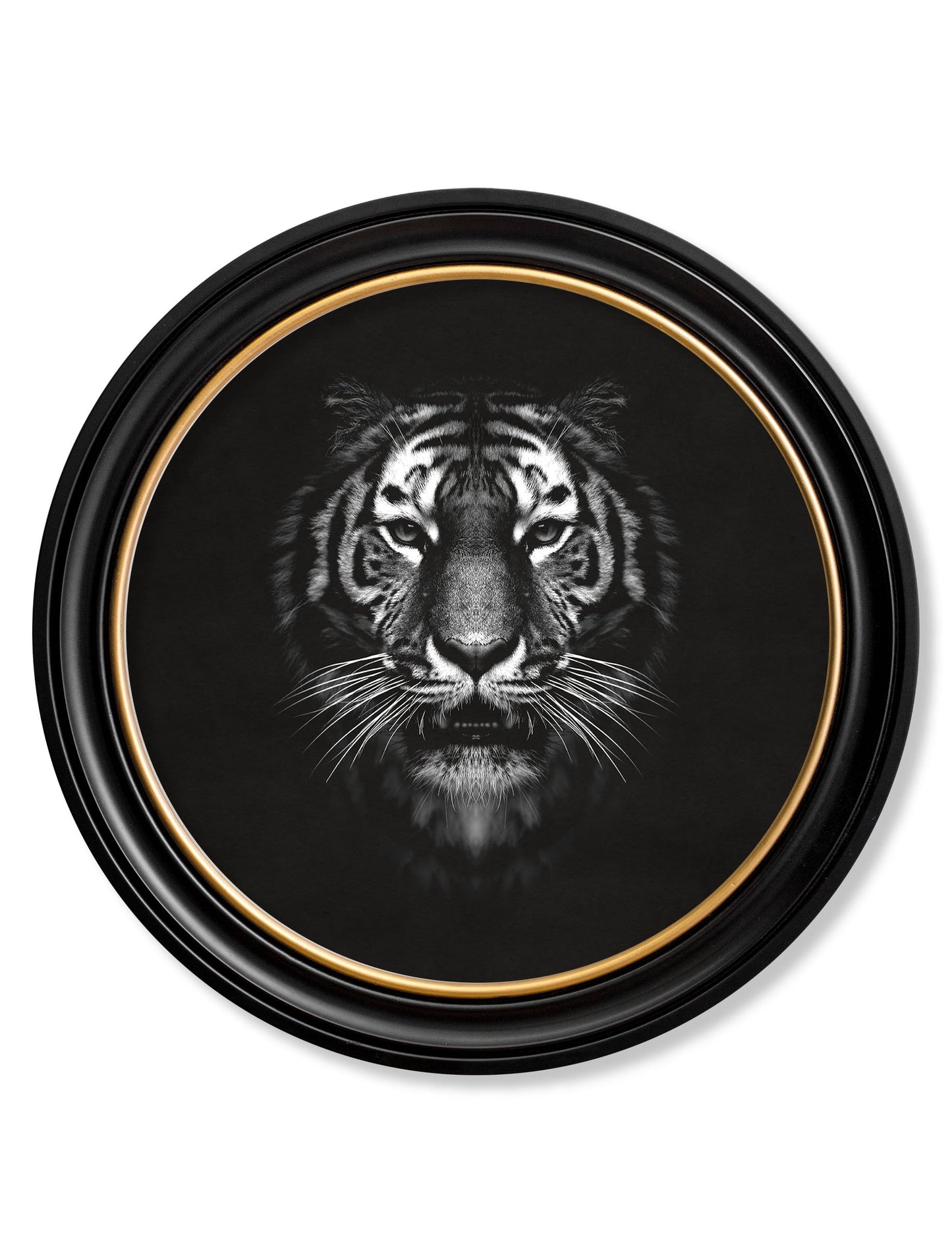 Wildlife Photography – Tiger – Round Frame detail – Leya Buster Interiors